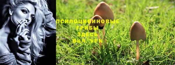 мяу мяу мука Бугульма