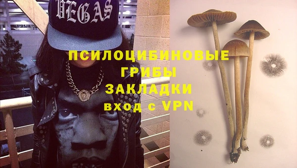 мдма Бородино