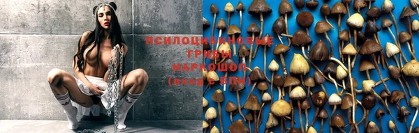 мяу мяу мука Бугульма