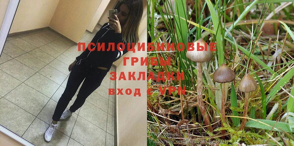 мяу мяу мука Бугульма