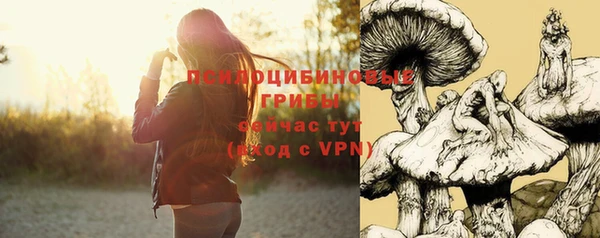 мдма Бородино