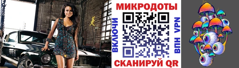 нарко площадка официальный сайт  Ахтырский  Галлюциногенные грибы Psilocybe 